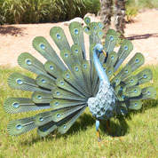 Ornamental Animal - Peacock